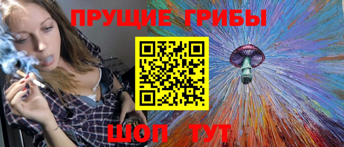 Галлюциногенные грибы Psilocybe Аша